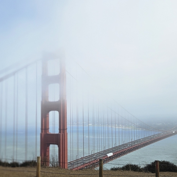 EVERYTHING MUST GO - Picture 5 of 16